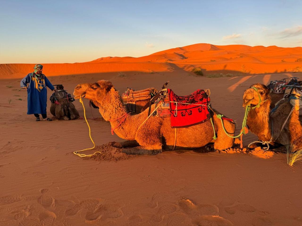 Amadjar Nomadic Tents à Rissani
