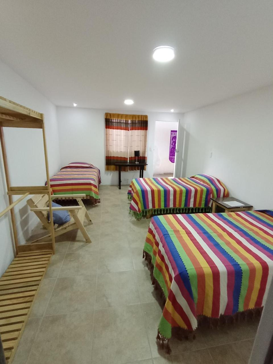 Iguana Coliving in Oaxaca
