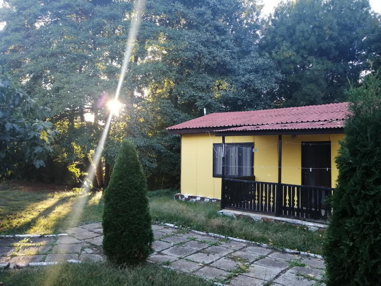 Morska Baza Venera