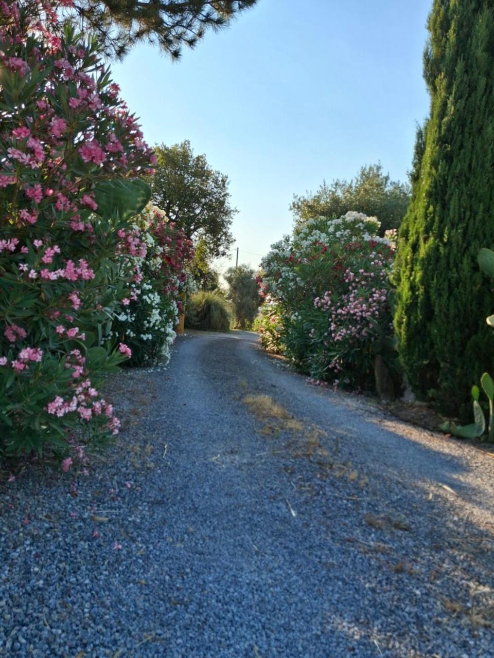 Agriturismo Podere 329 em Magliano-in-toscana