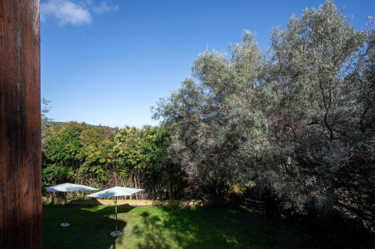 Summer House Louisa