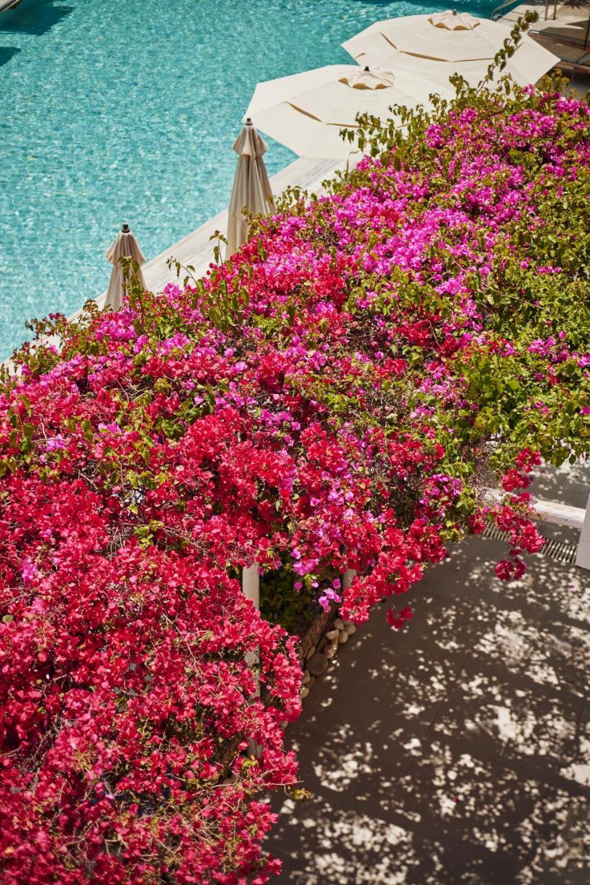 Iniohos Zante Hotel & Suites