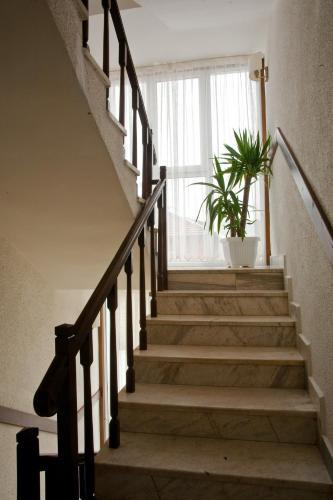 Aneli Hotel