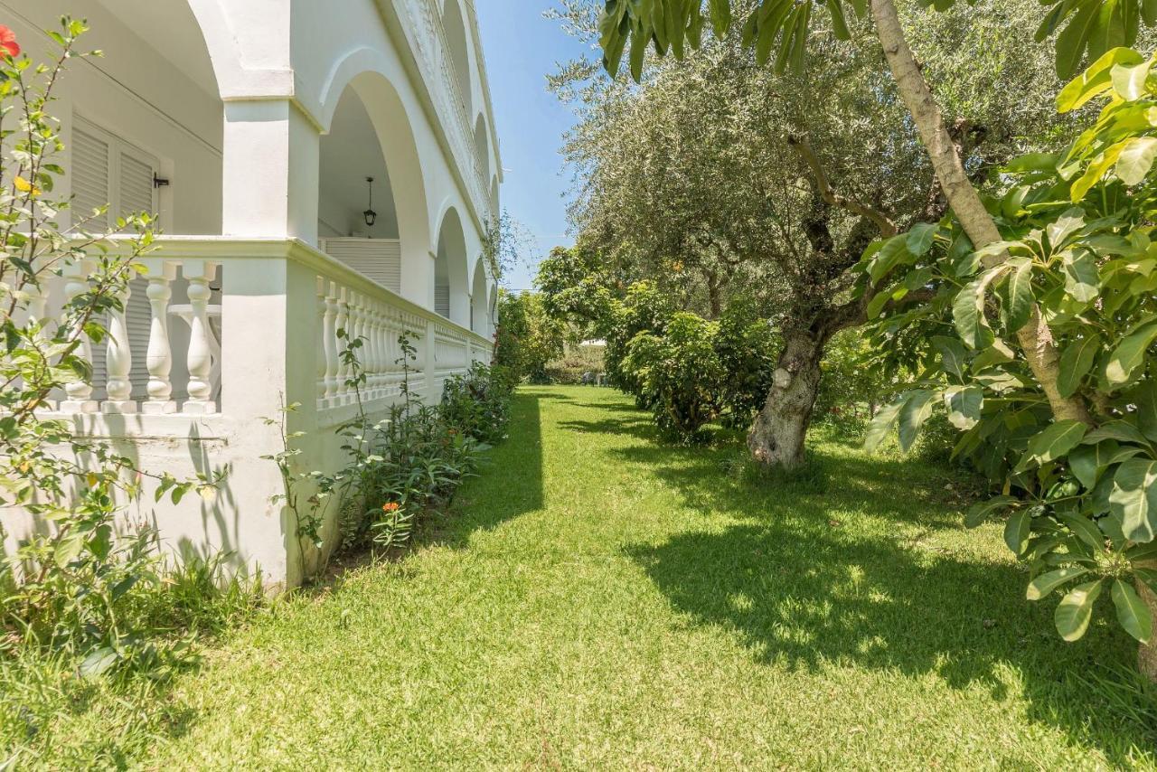 Zante Ruassi Studios