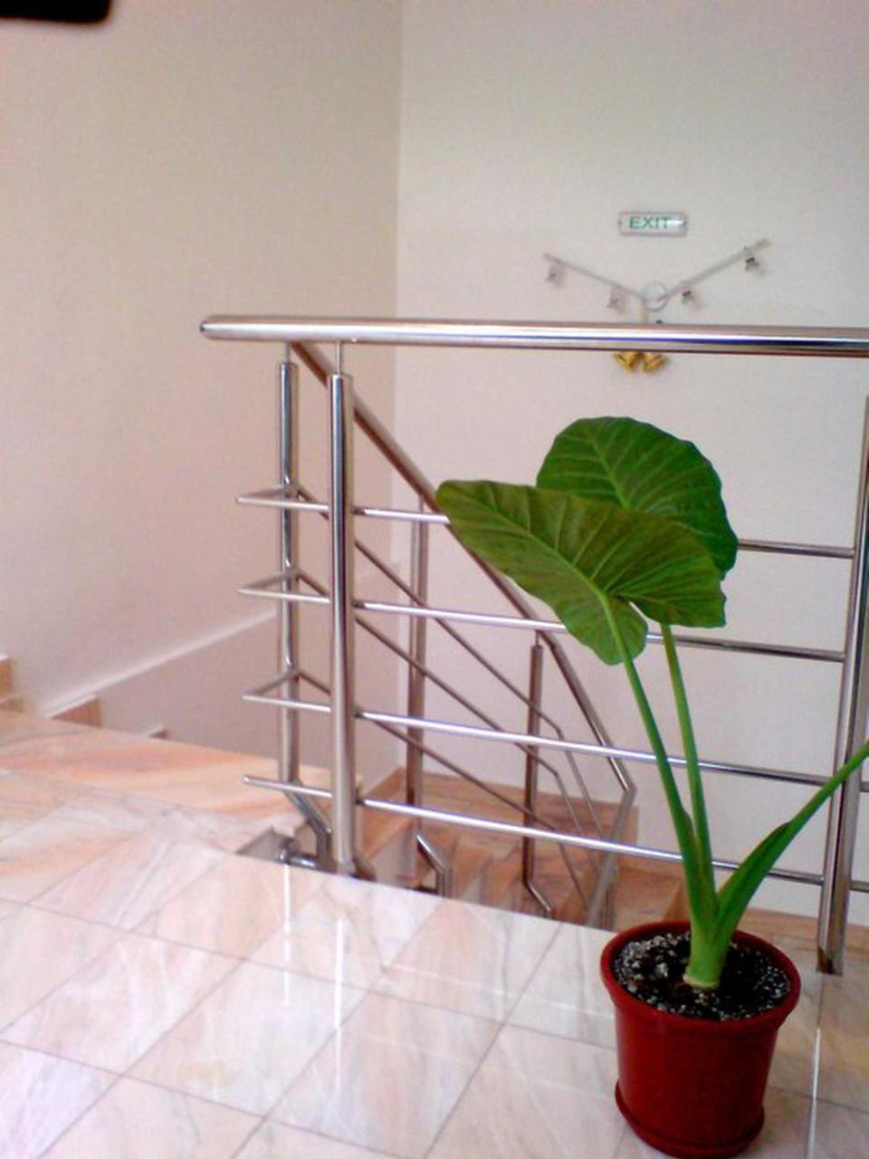 Pension Noroc Si Fericire