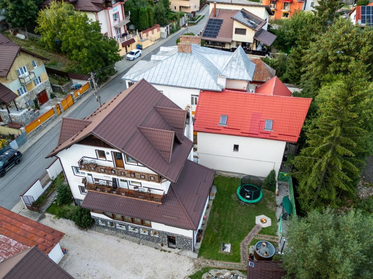 Pensiunea Dapa