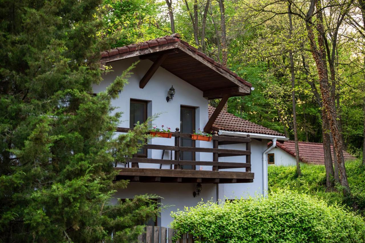 Arsenal Park Transilvania