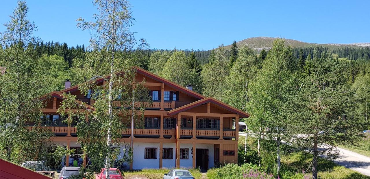 Ski-in apartments under snow at the foot of Trysilfjellet