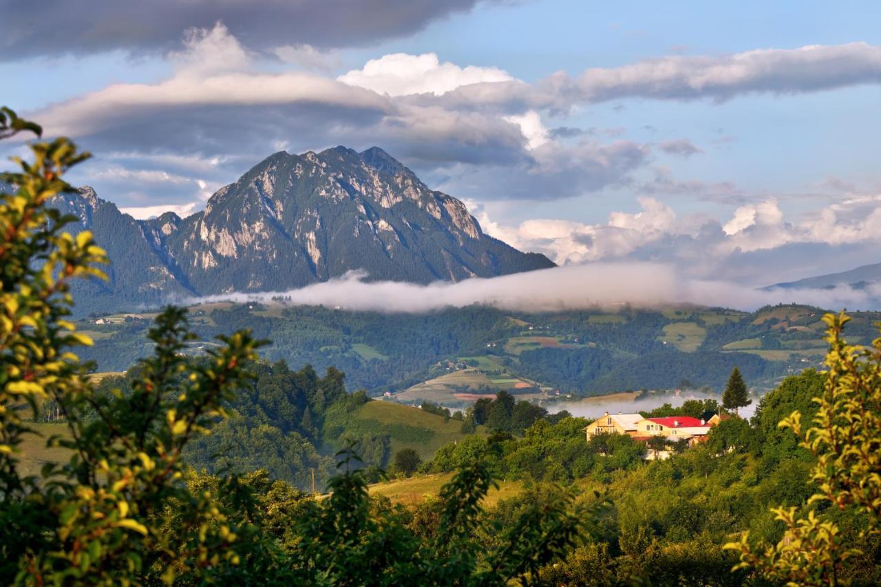 Casa Cristalul Muntilor