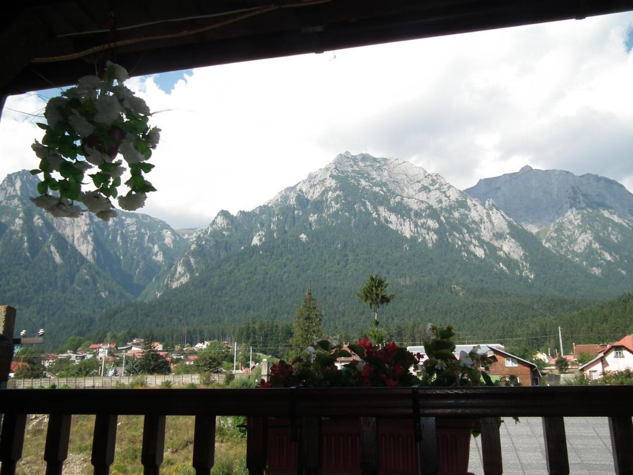 Casa Rosca Busteni