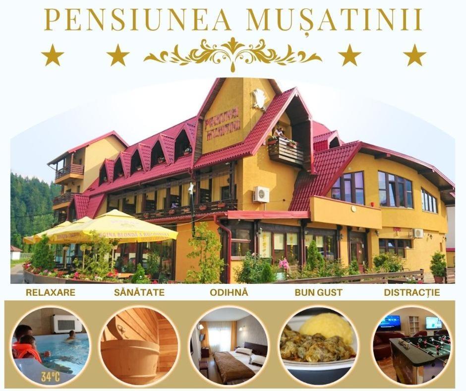 Pensiunea Musatinii