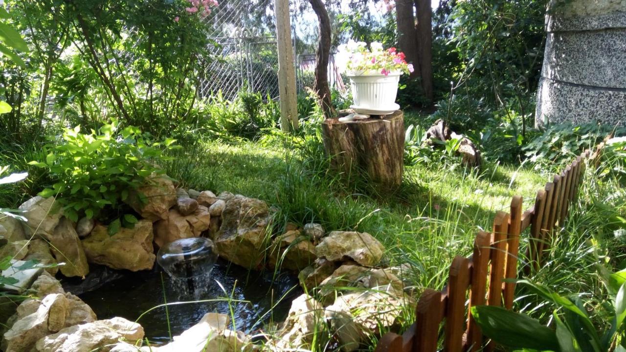 Belivanovi B & B House