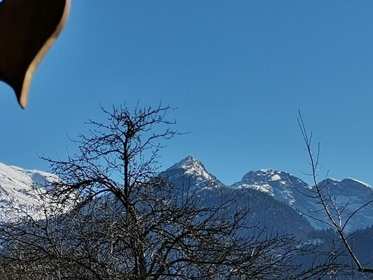 Campingplatz Torrenerhof