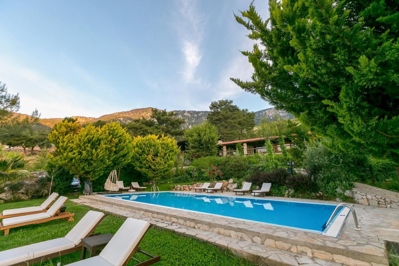 Olympos Mountain Lodge