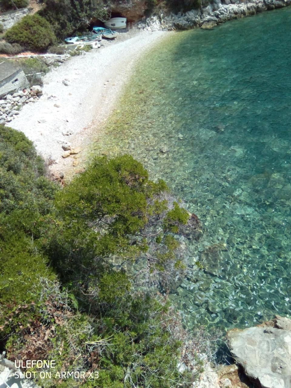 The Whole Mario's House For Rent