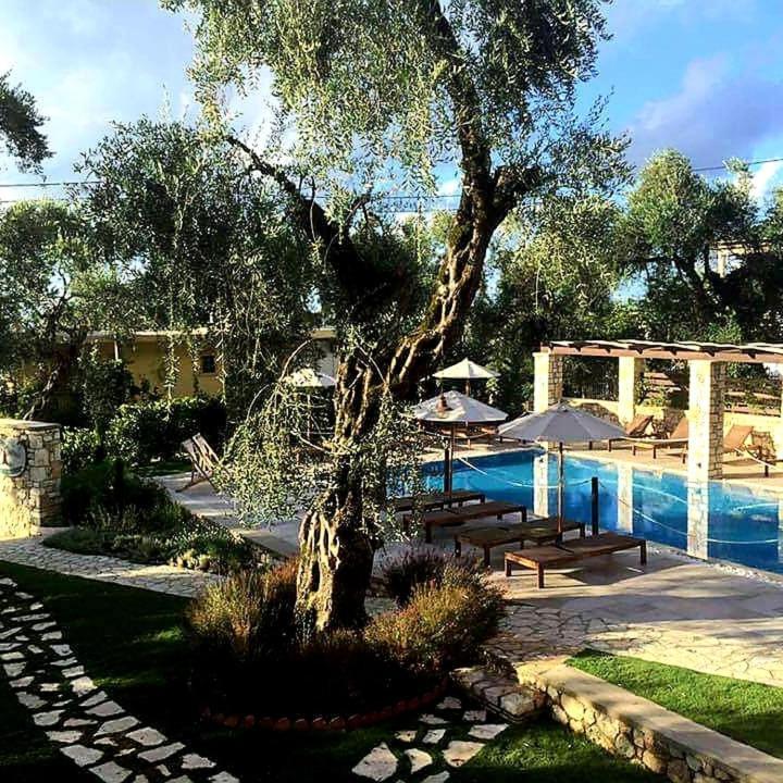 Vassilis Guest House