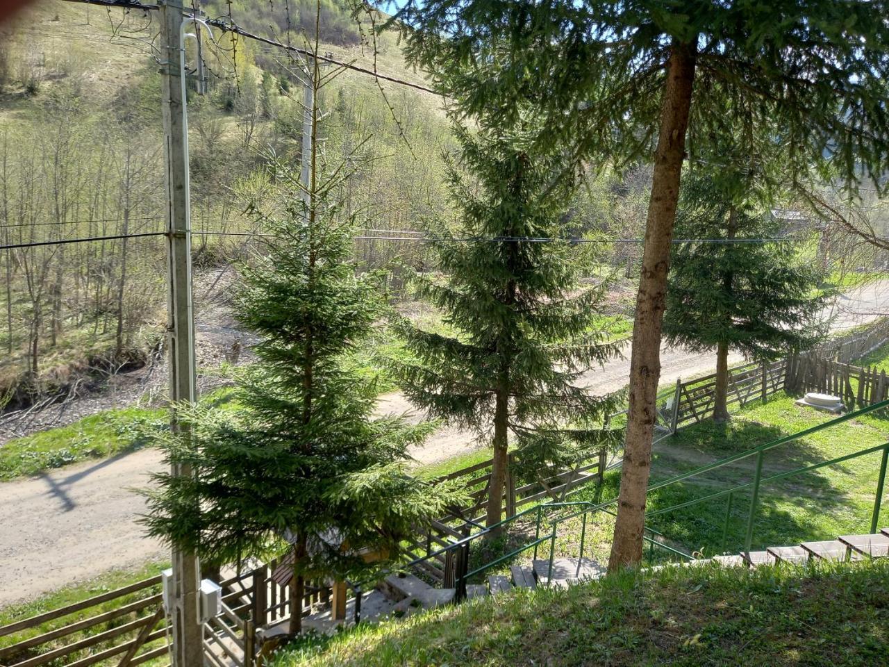 Cabana Aura Campulung Moldovenesc