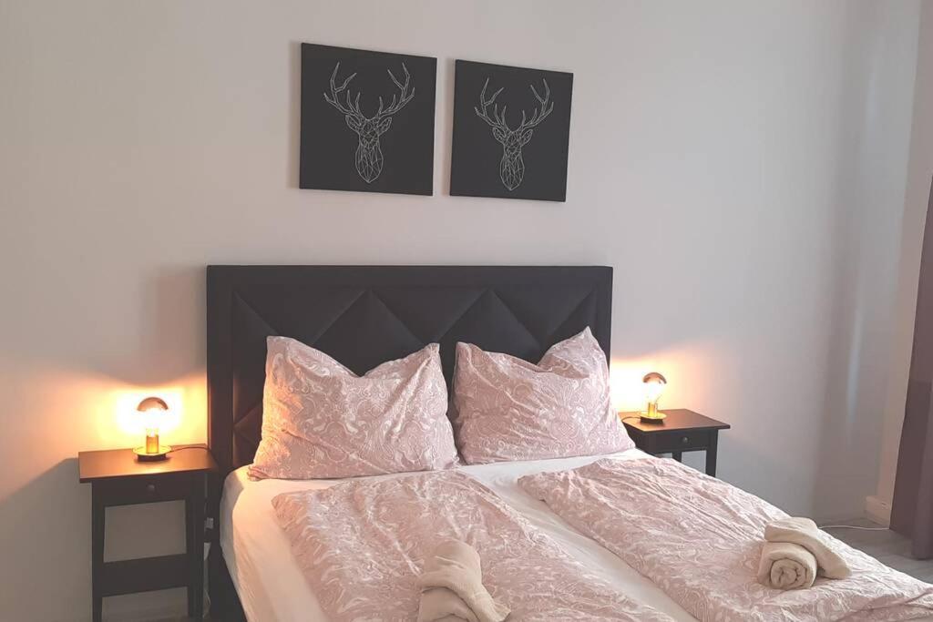 Brand New Luxury 2 Bedroom Apartment Near Augarten
