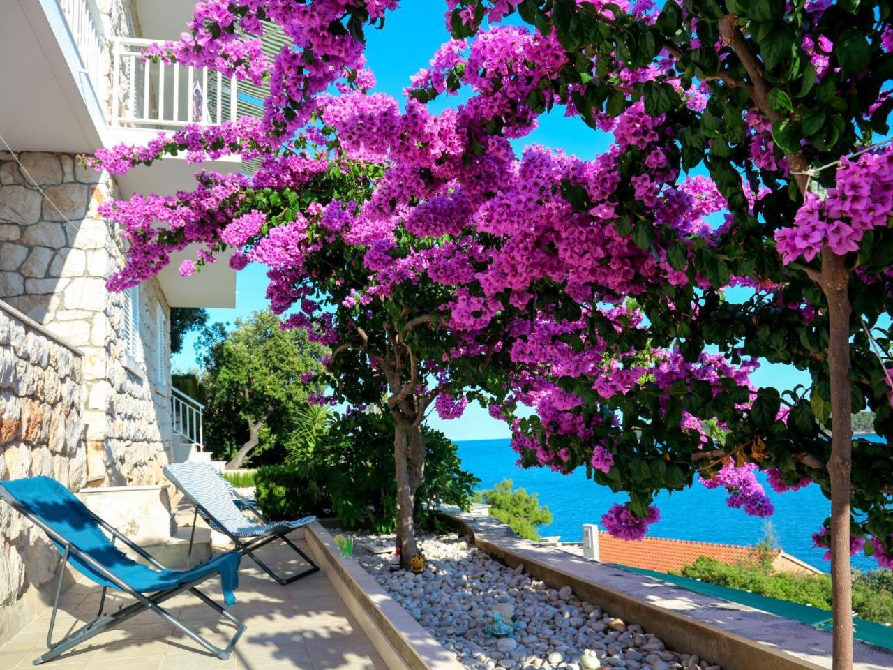 Apartment Martina by Interhome