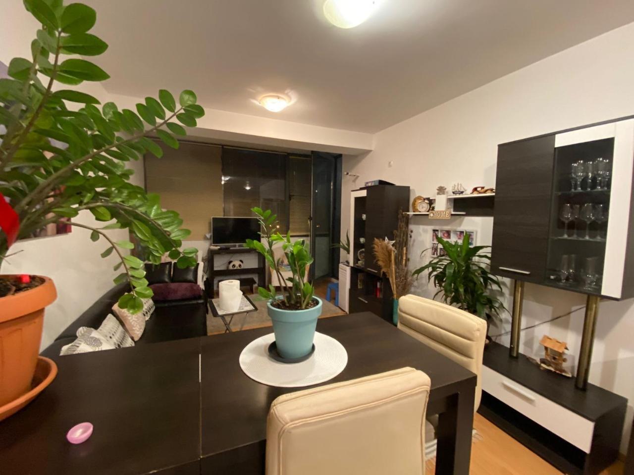 Apartament Park Ior Complex Evocasa Armonia