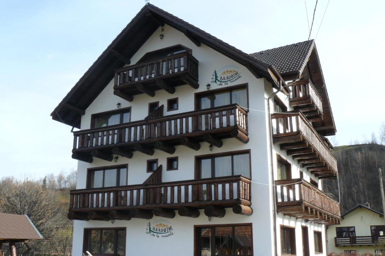 Bradutul de La Munte
