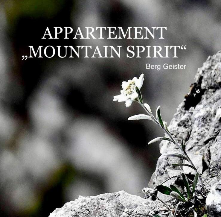 Alpinside Appartements