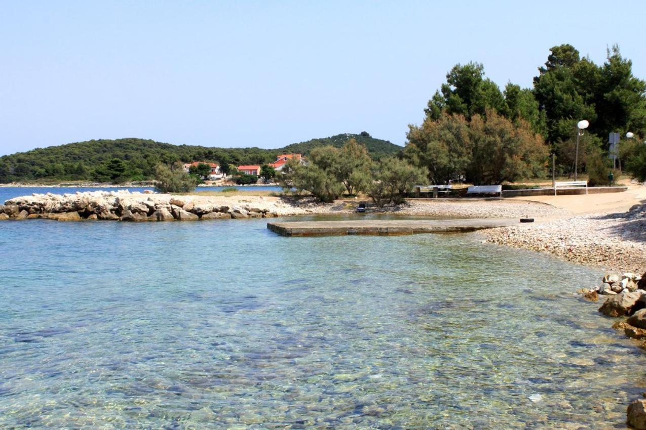 Apartments by The Sea Ugljan 8264