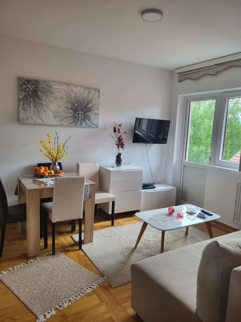 Apartman Stasenka