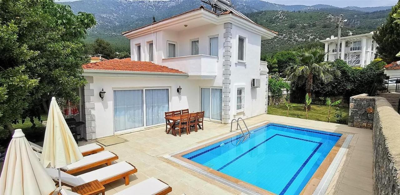 Villa Palm