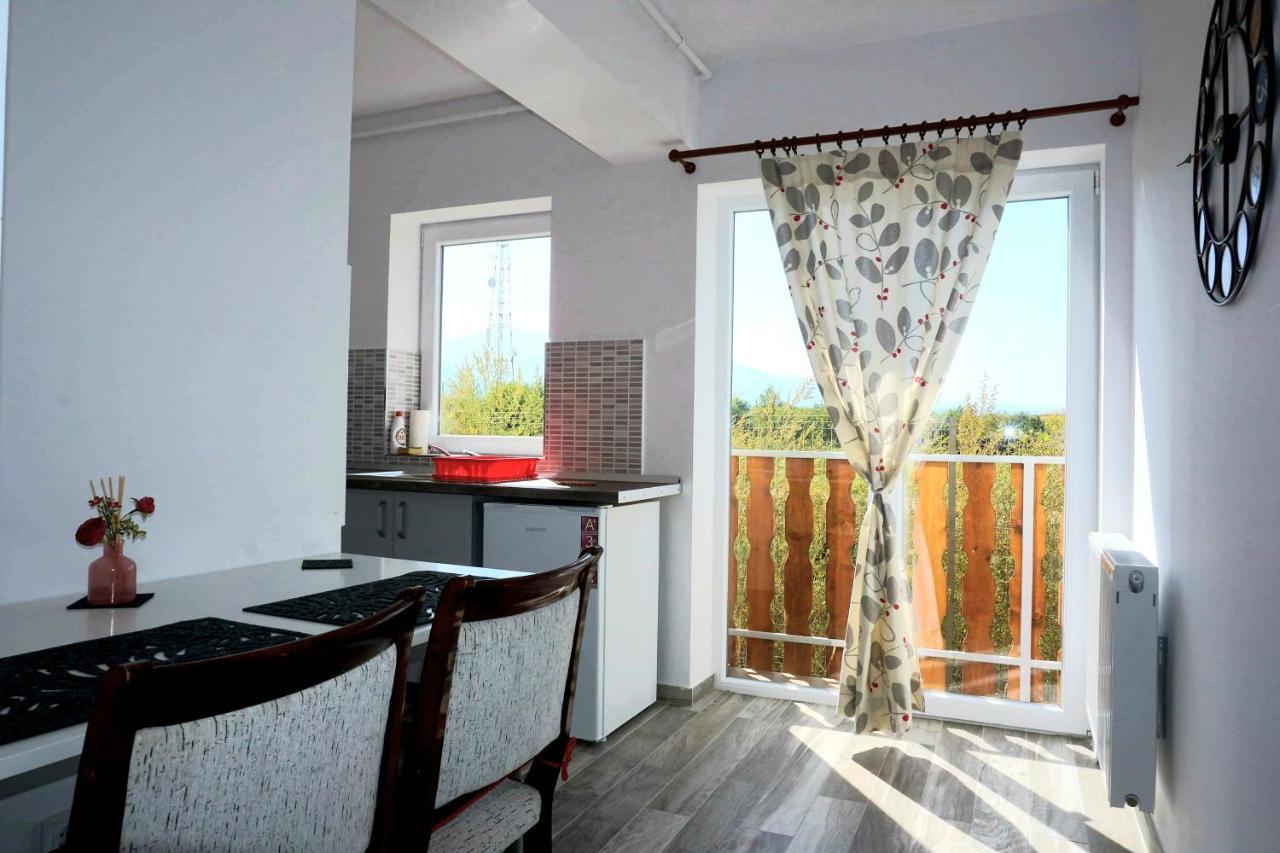 Das Home-apartament Cu Vedere La Munte