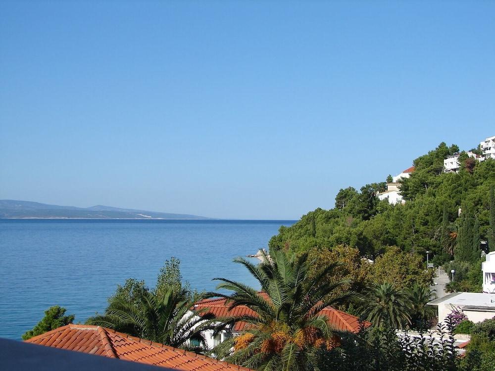 Eddie 80m From The Sea A2