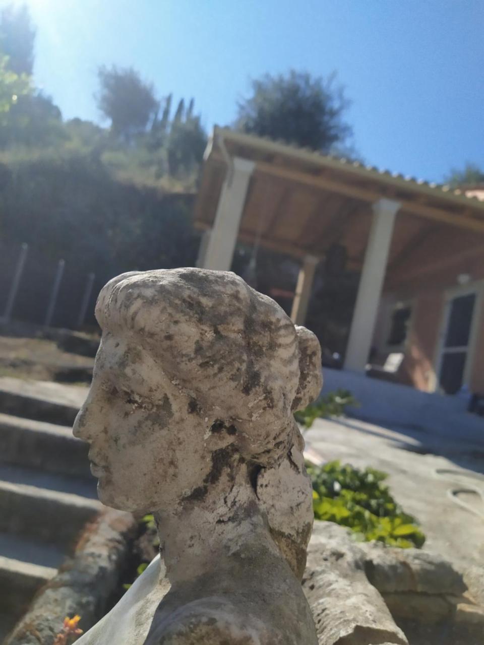 Nikos' Home