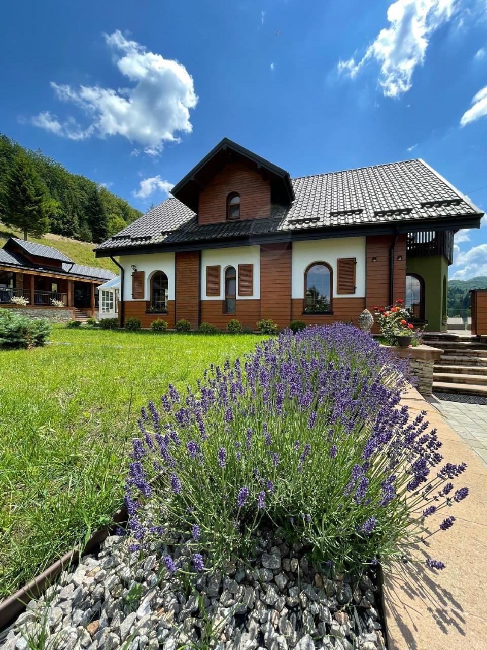 Rita Art Chalet Voronet