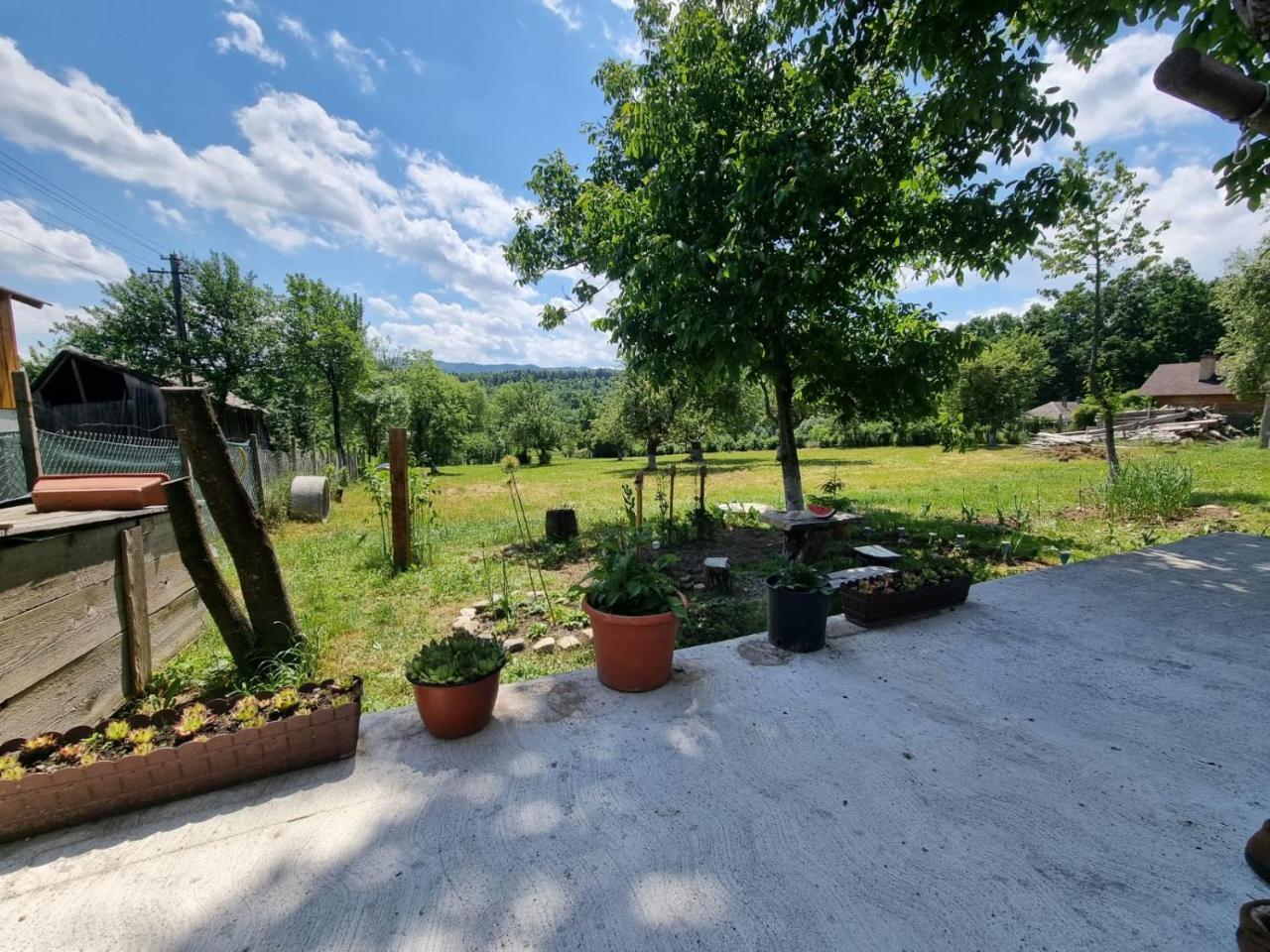 Casa Primitoare In Inima Naturii Si Padurii