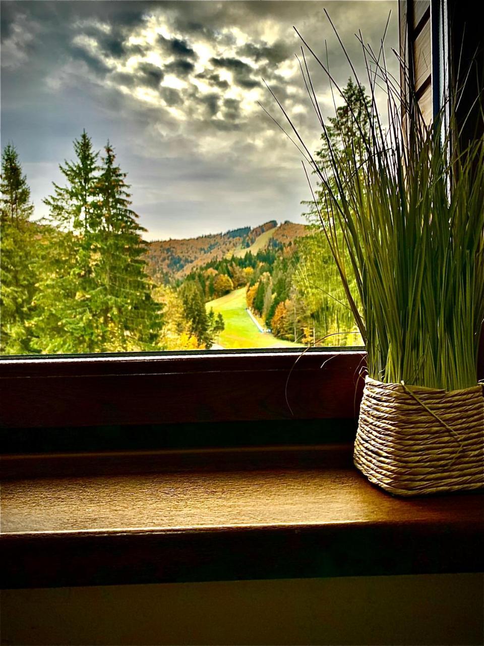 Apartamente de Inchiriat Garden Apart Predeal