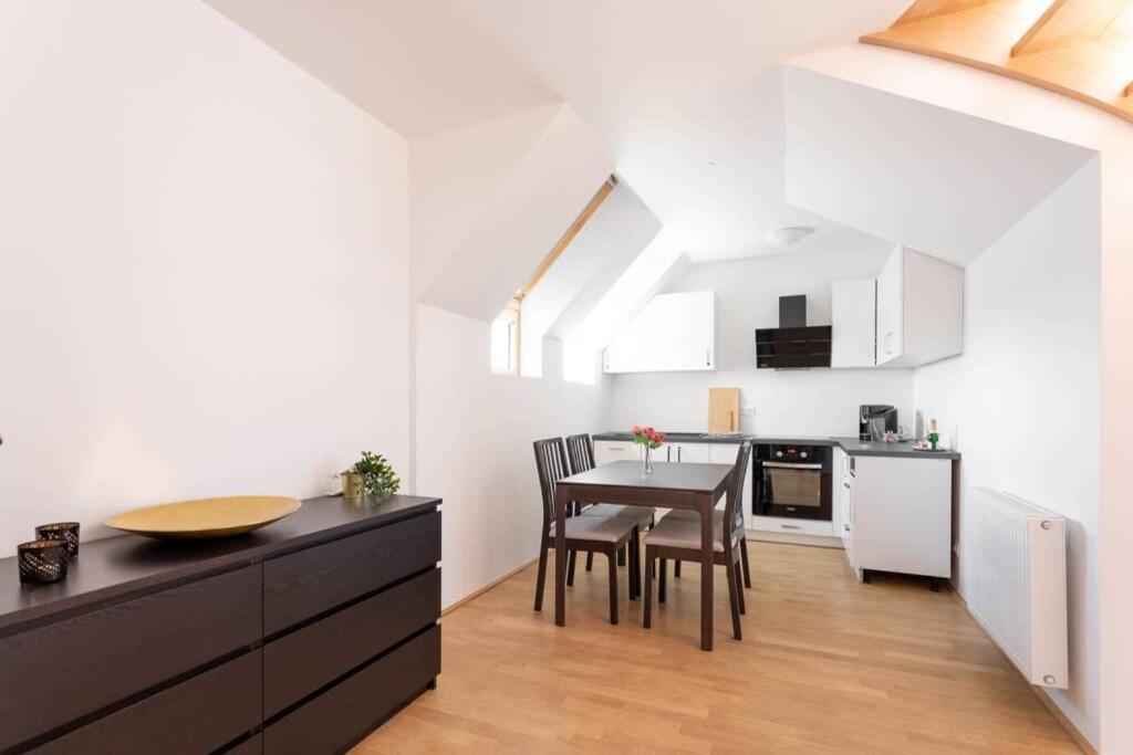 Penthouse Near Schoenbrunn With Large Terrace! N43