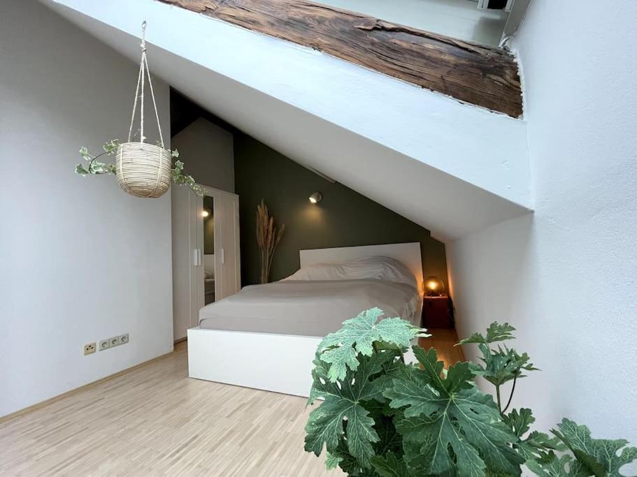 Helles Apartment Im Zentrum