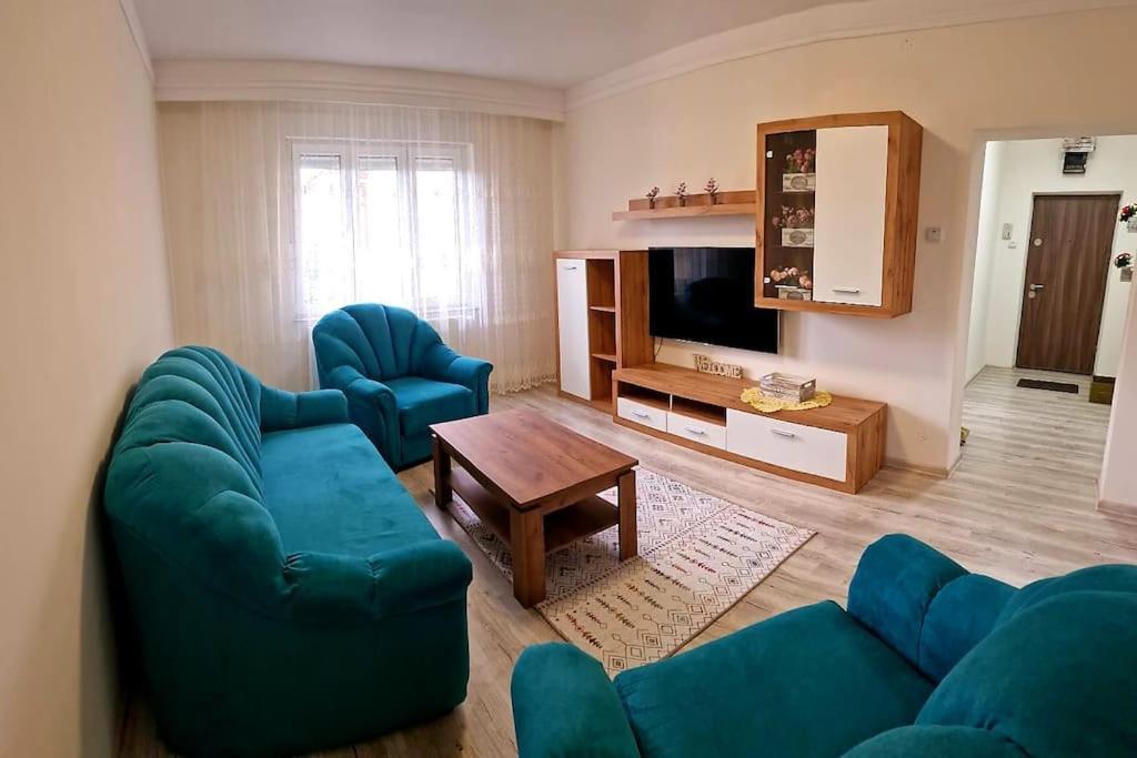 Ori Modern Apart Malul Muresului , Arad