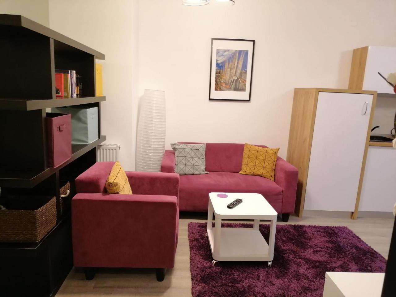Studio 28 1 Camera Lazar Residence Ultracentral