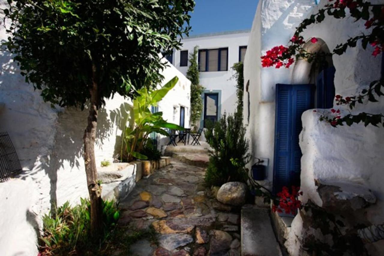 Clive & Bifi's House