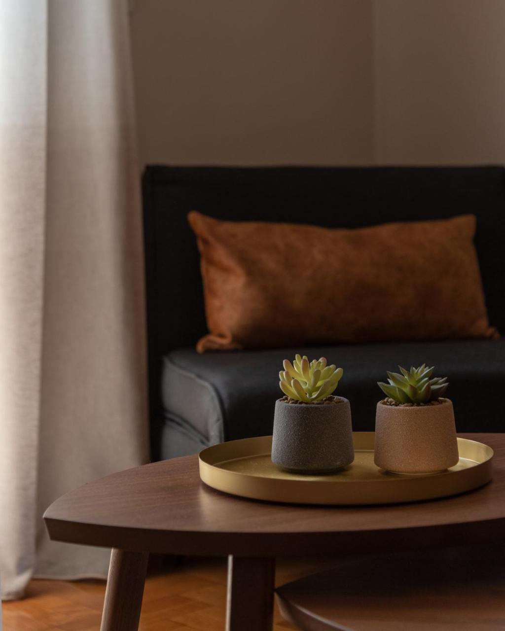 Comfy Apt.