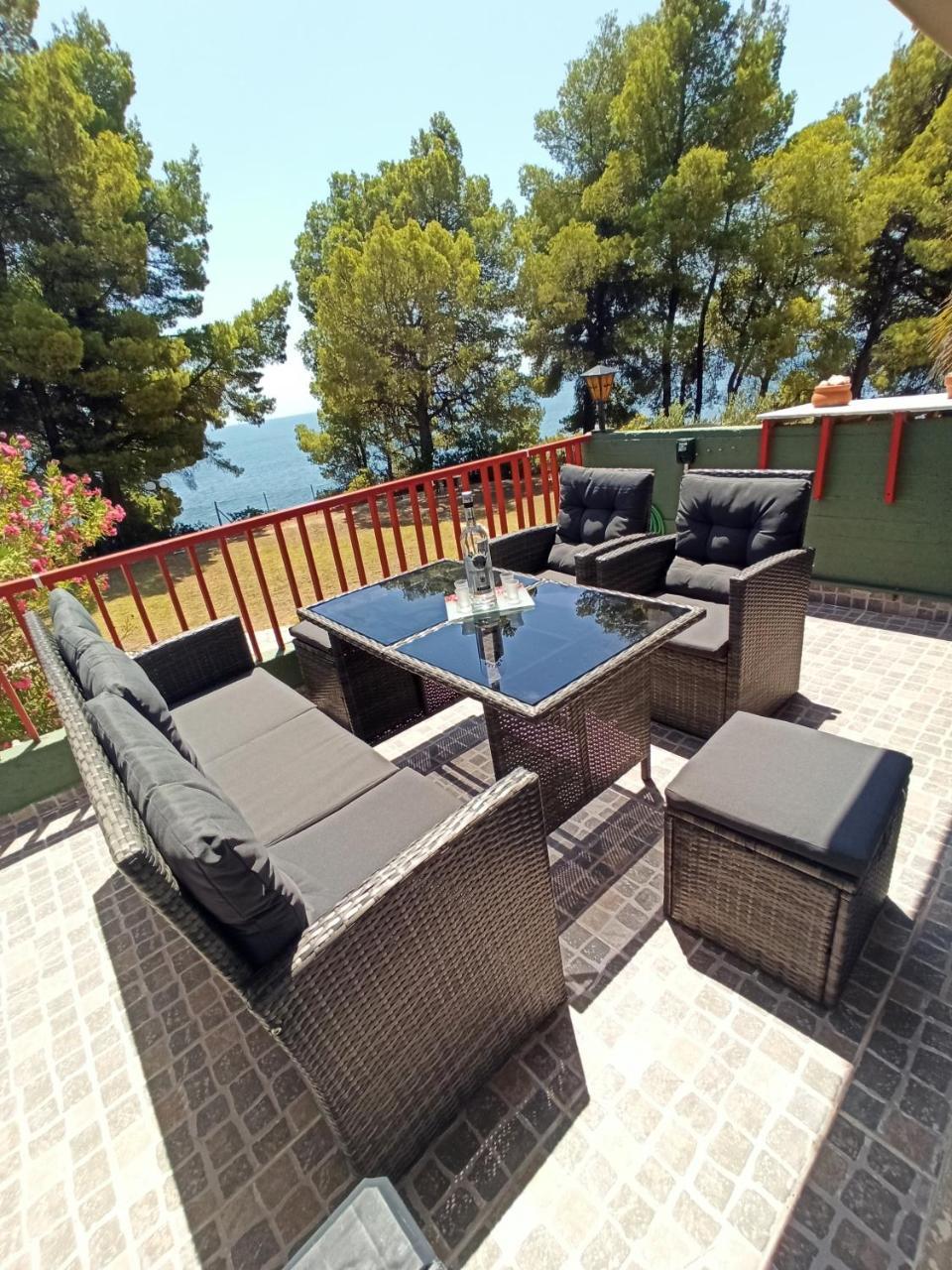 Squirrels, Home With View