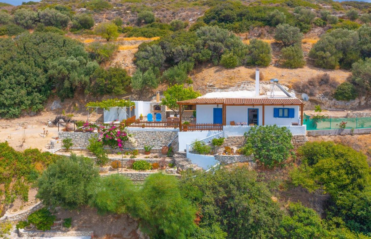 The Rock & The Lemon Tree