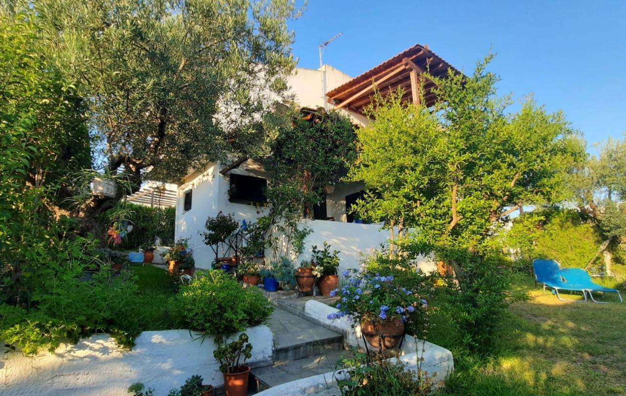 Sonia's House With Garden