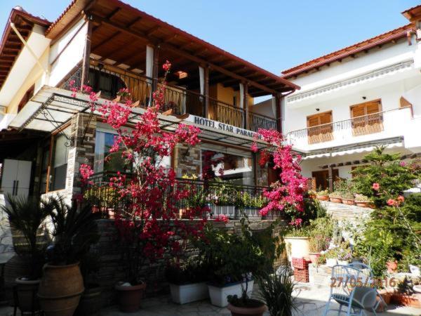 Star Paradise Studios