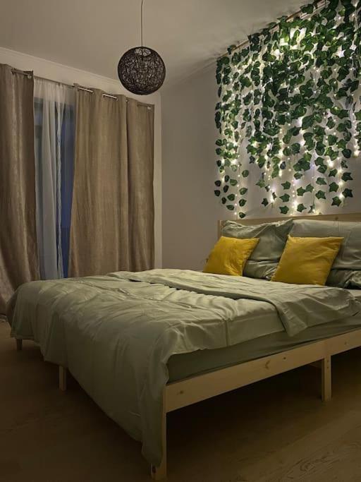 Dekan Forest Apartments Timisoara