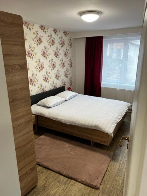 Apartament 9 Central