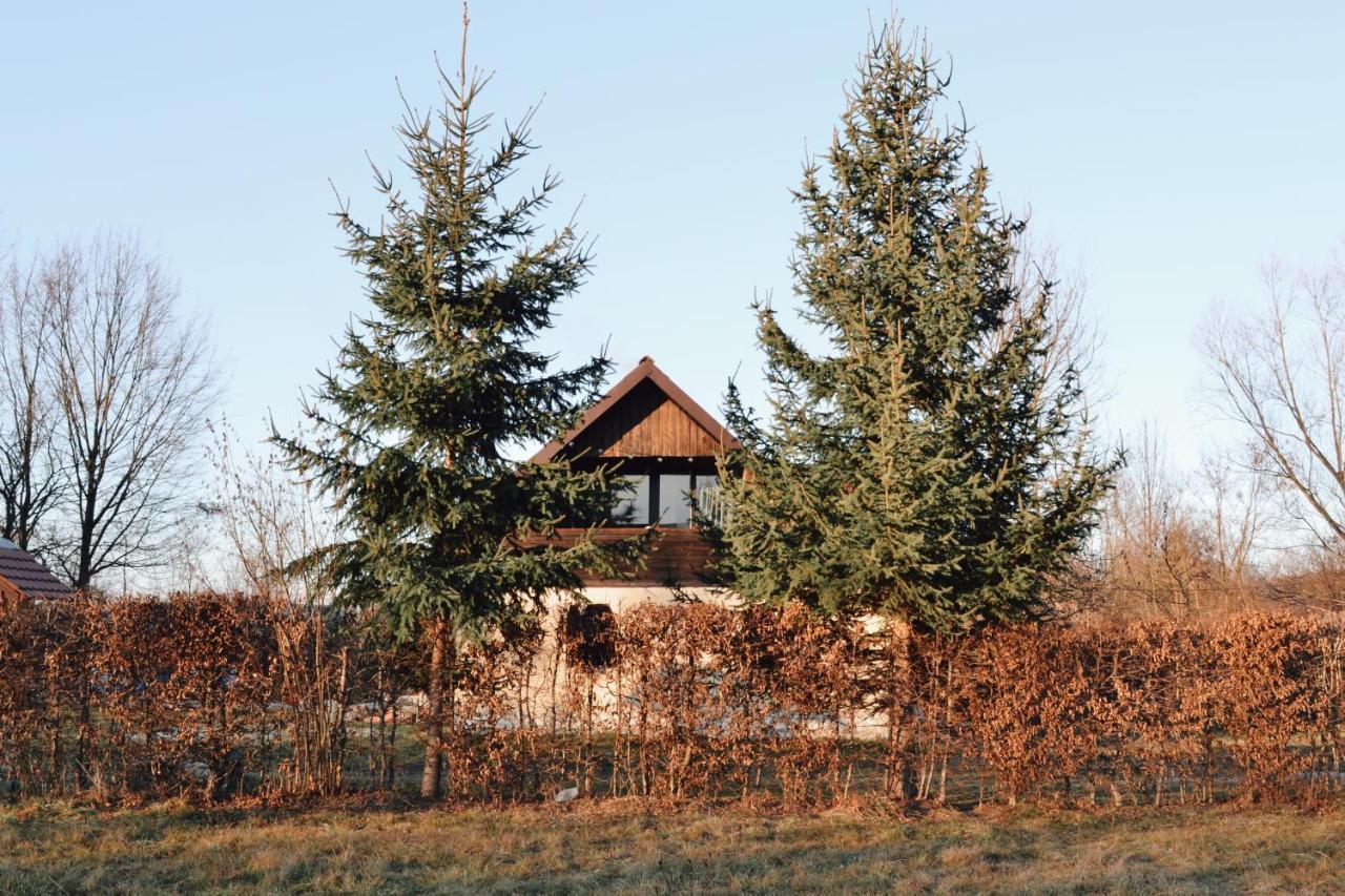 Cuib Din Fagaras
