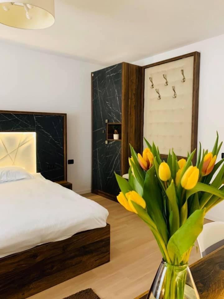 Valea Putnei Residence Rooms For Rent