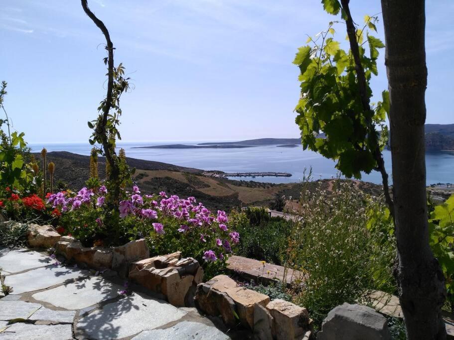 Panorama Family House